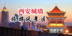 骚、妇女草逼中国陕西-西安城墙旅游风景区